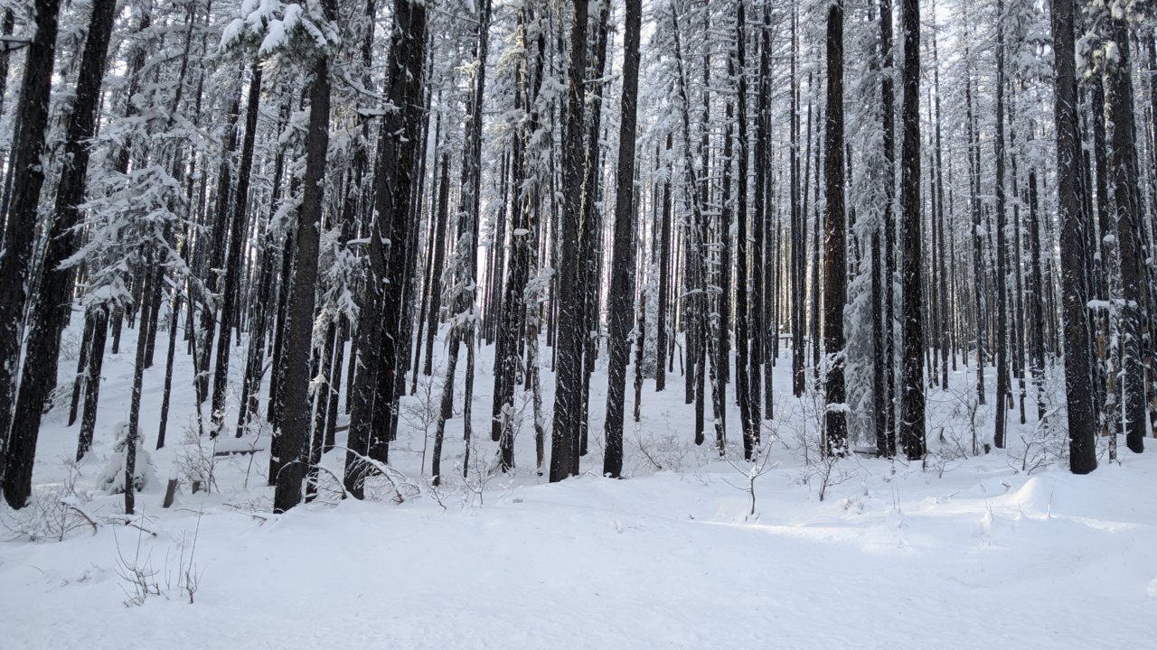 IMG_20211229_133303.jpg