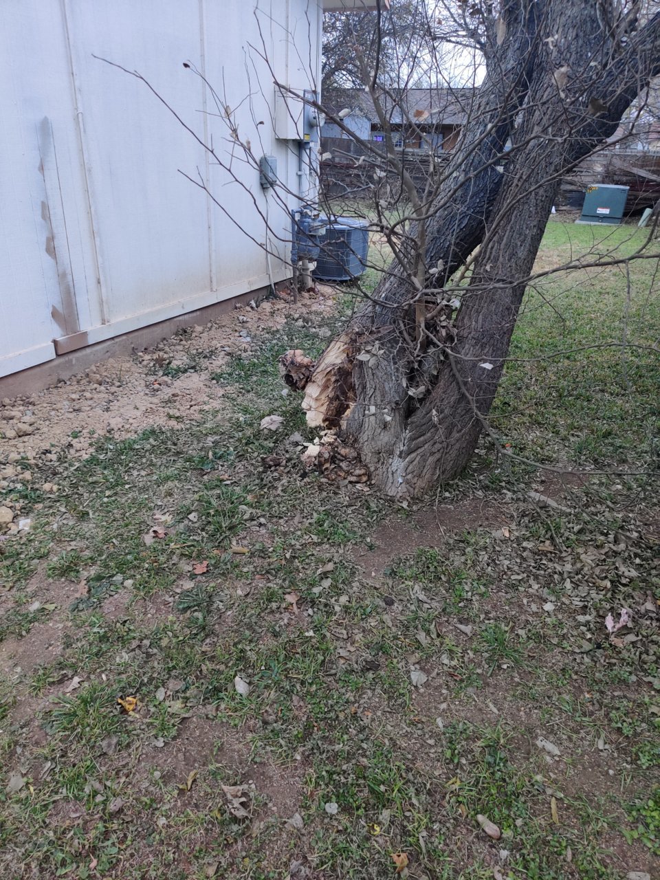 IMG_20220120_175856.jpg