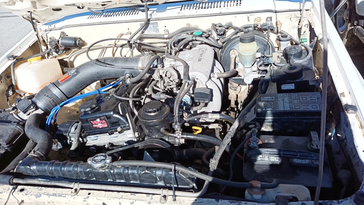 IMG_20220130_134620.jpg