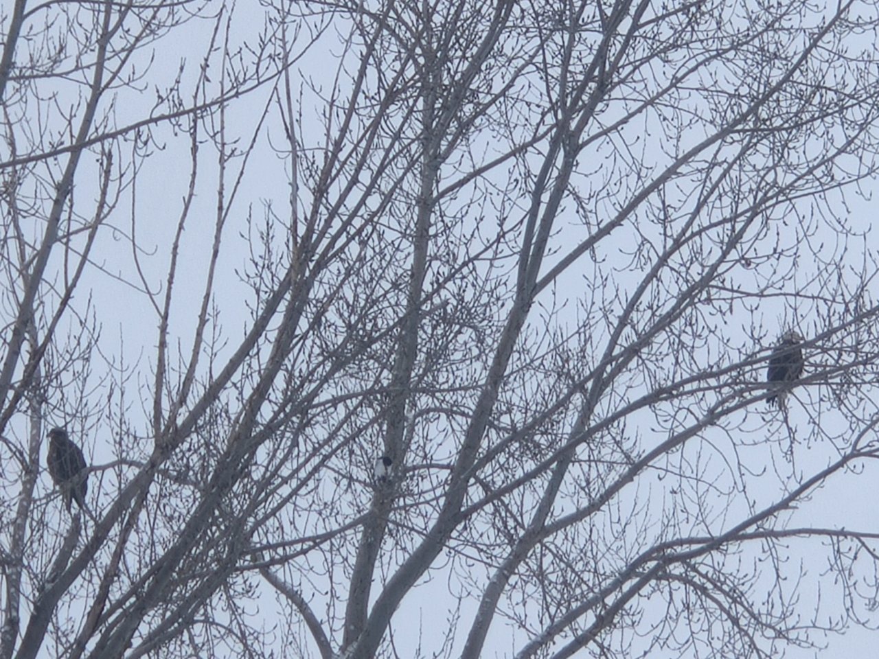 IMG_20220203_101017.jpg