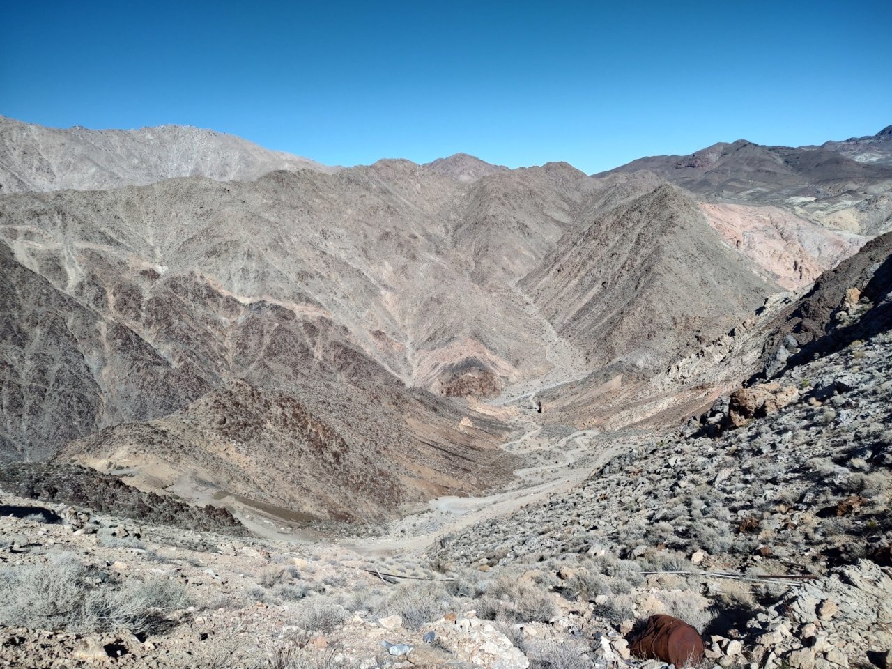 IMG_20220212_125552143_HDR.jpg