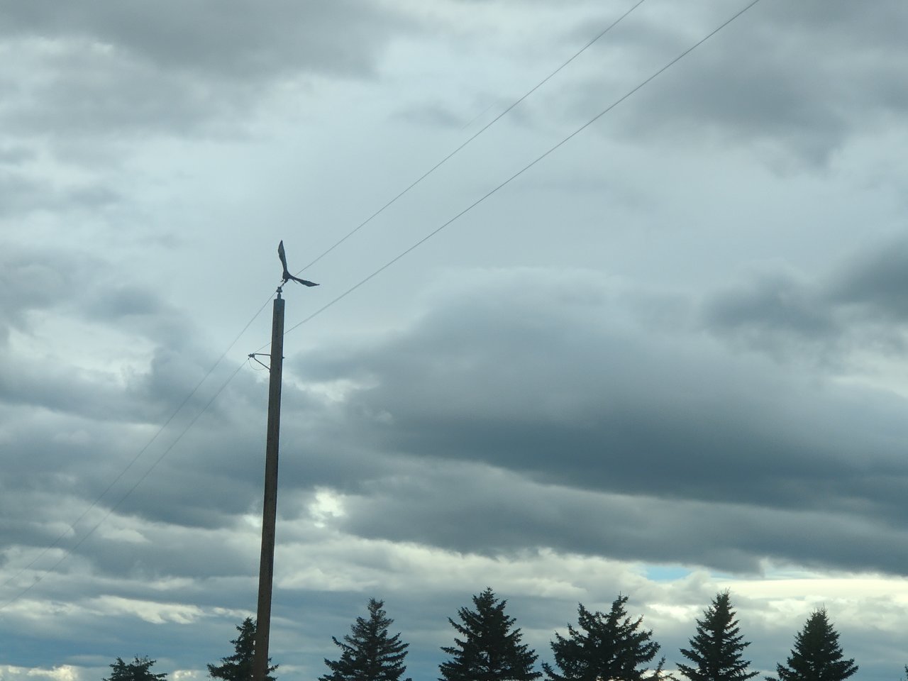 IMG_20220218_141658.jpg
