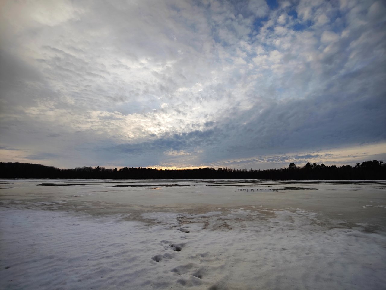 IMG_20220316_182125.jpg