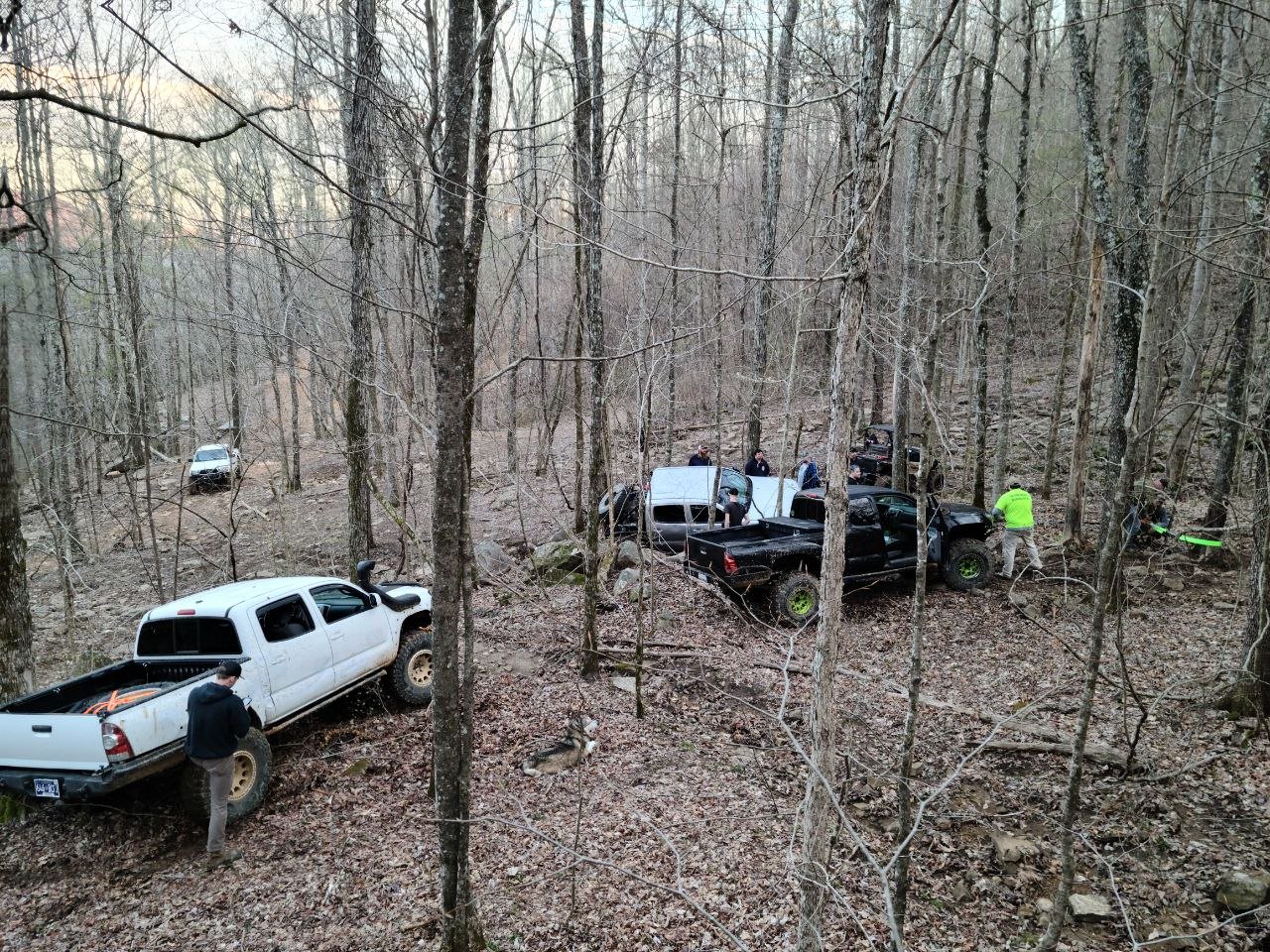 IMG_20220331_202921_237.jpg