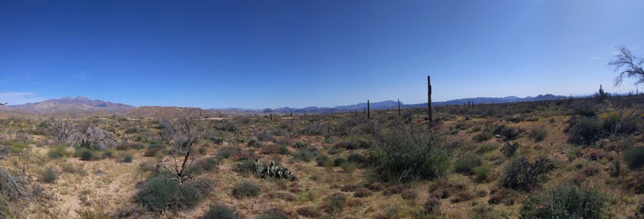 IMG_20220403_152102_PANO.jpg