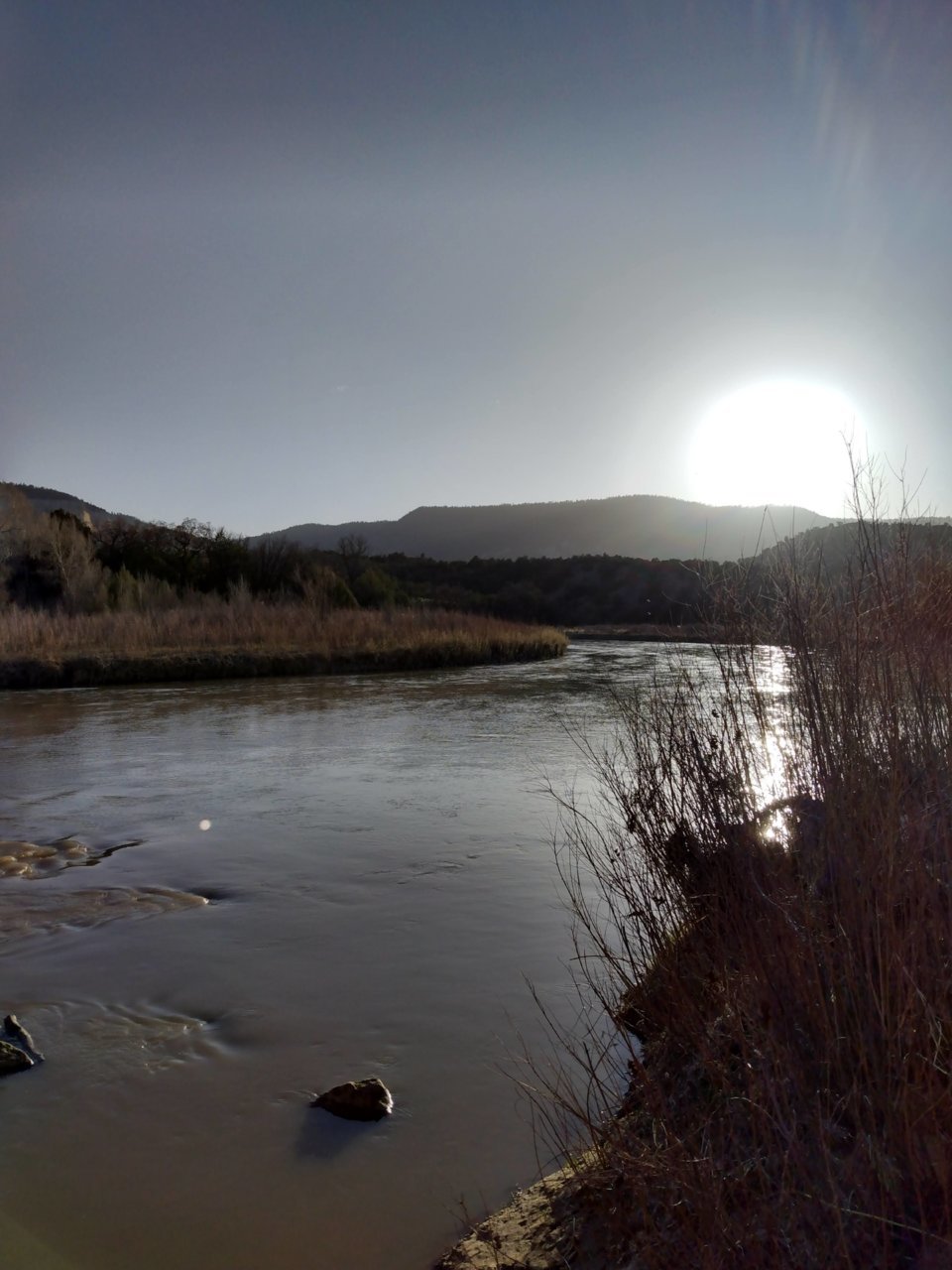 IMG_20220415_194800510_HDR.jpg