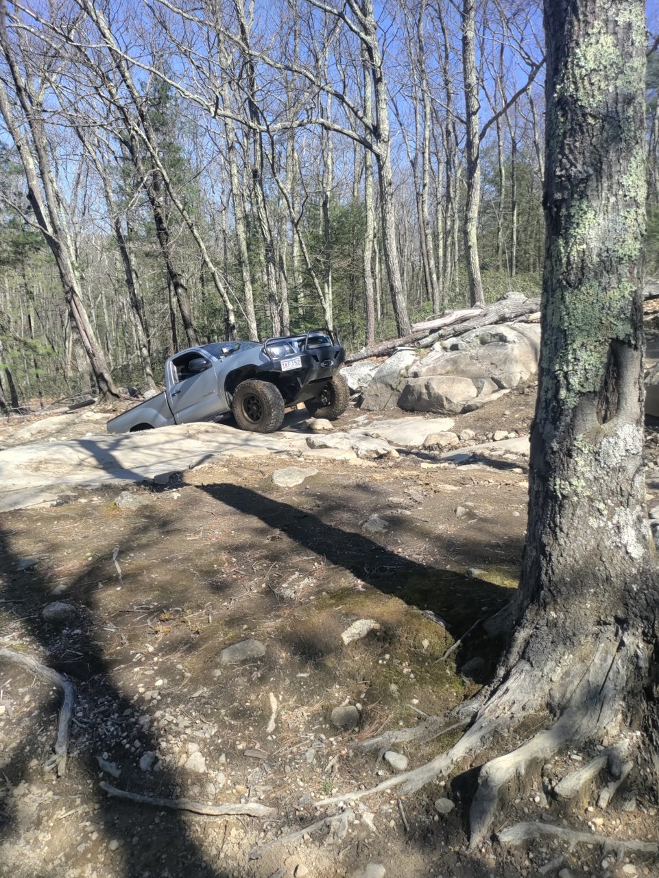 IMG_20220430_102321.jpg