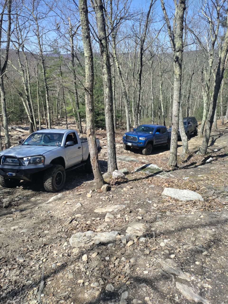 IMG_20220430_103601.jpg