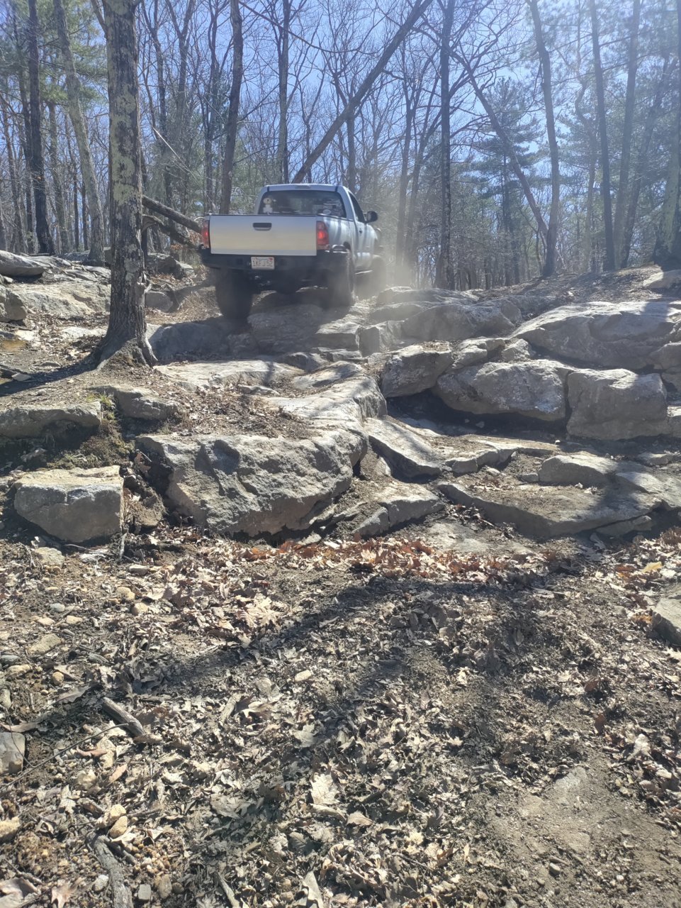 IMG_20220430_103729.jpg