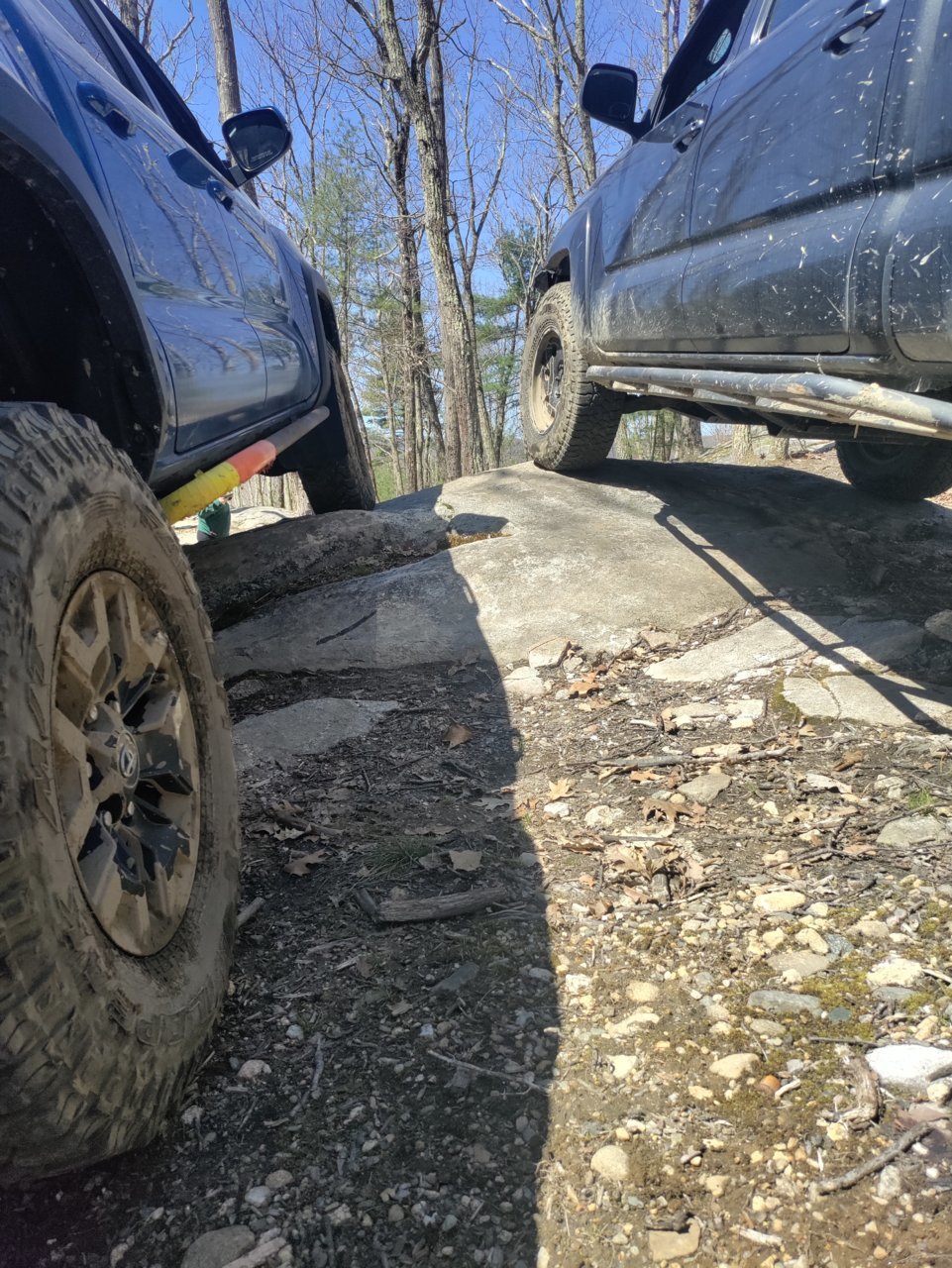 IMG_20220430_110636.jpg