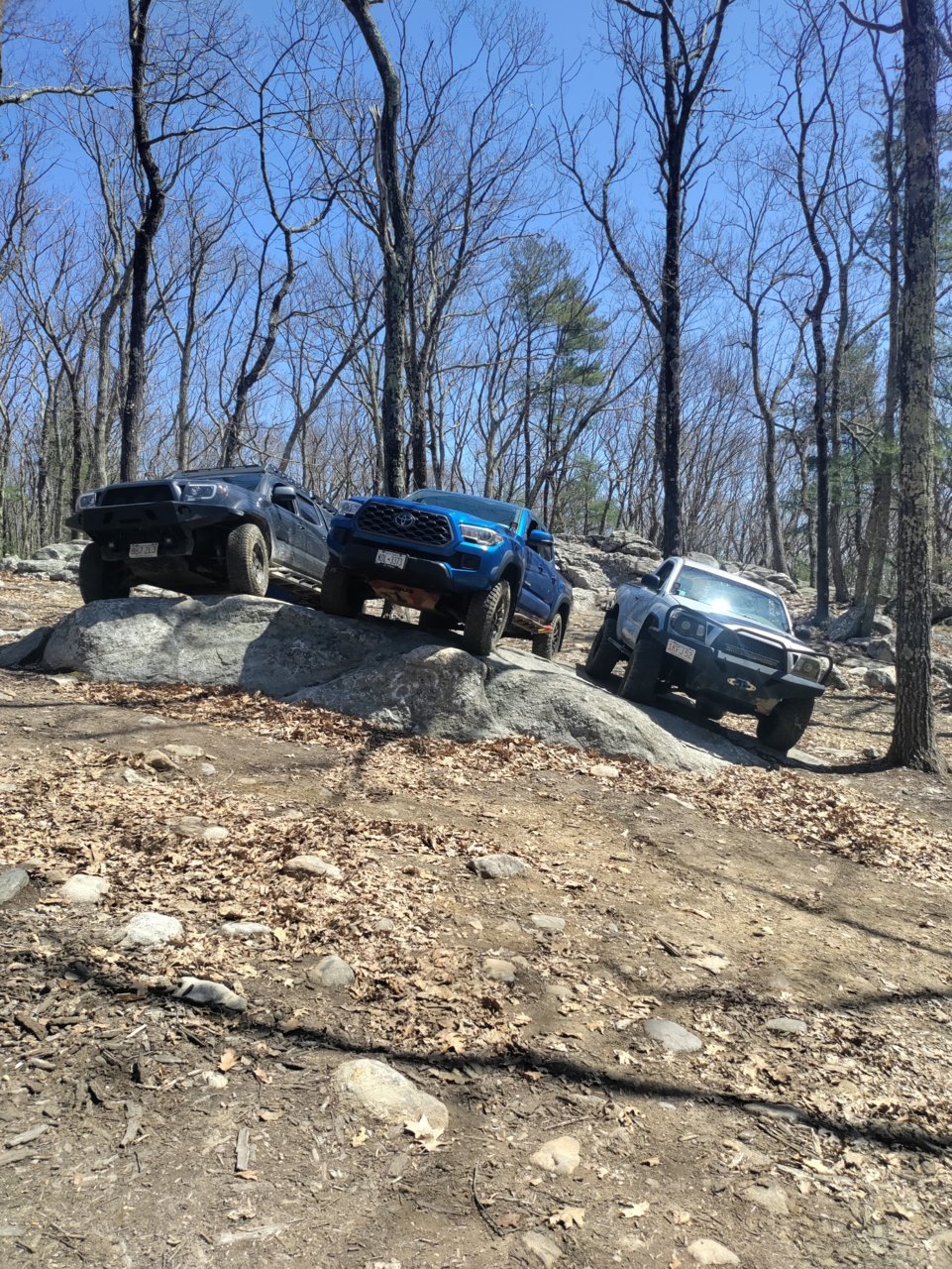 IMG_20220430_111017.jpg