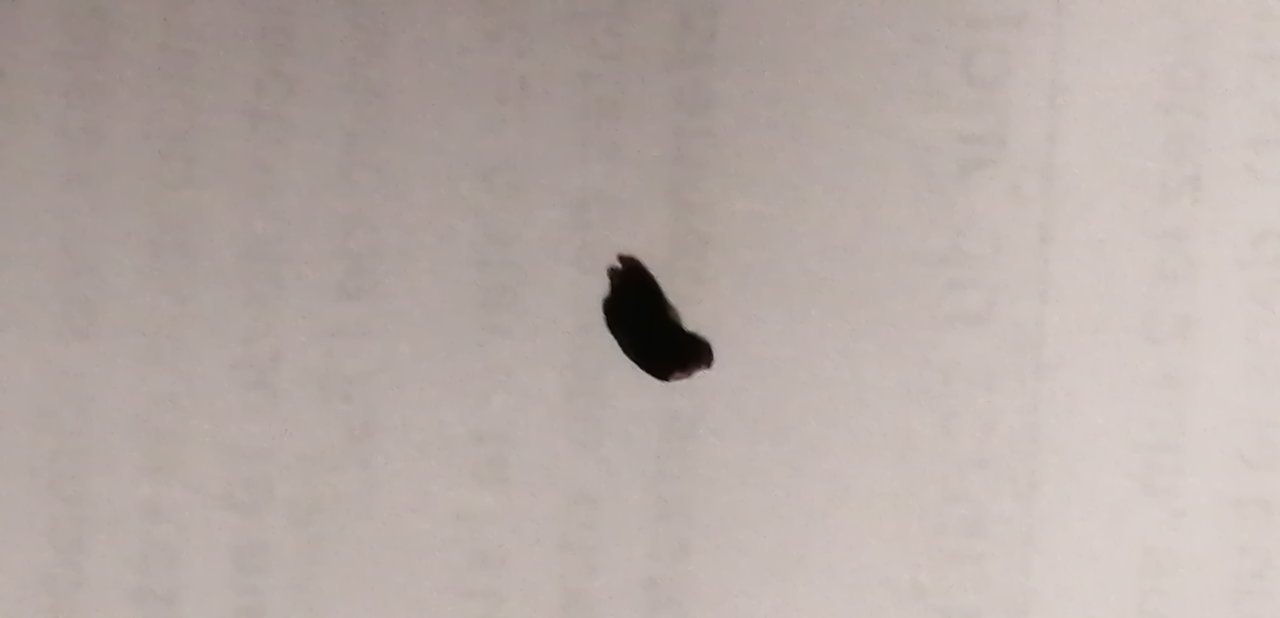 IMG_20220510_201054.jpg