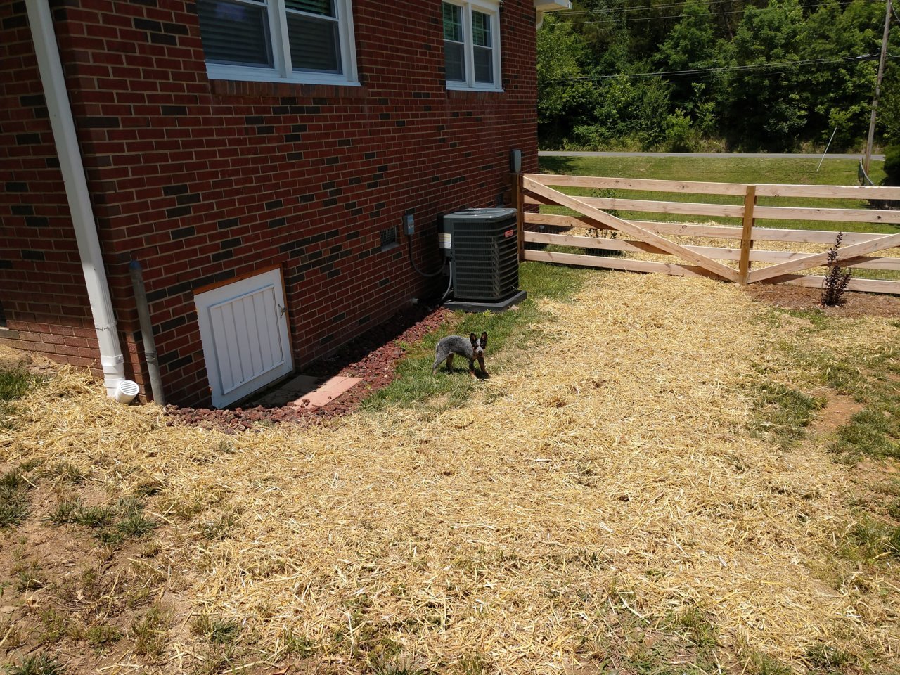 IMG_20220529_131537687.jpg