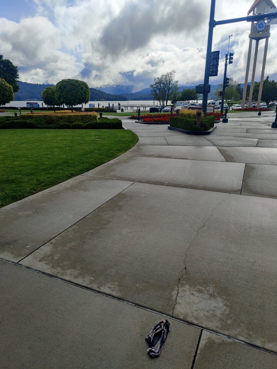 IMG_20220604_171635.jpg