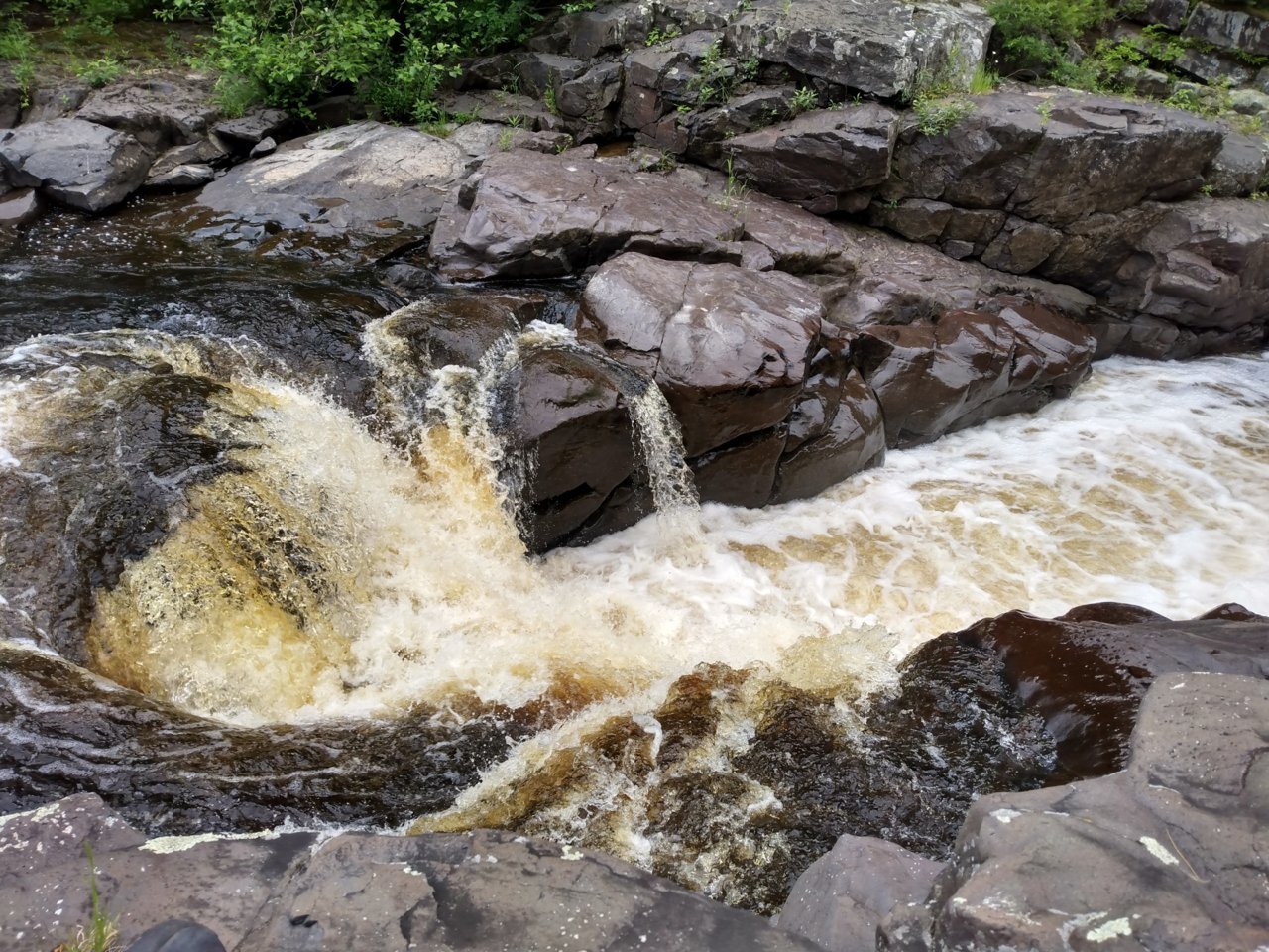 IMG_20220629_152551197_HDR.jpg