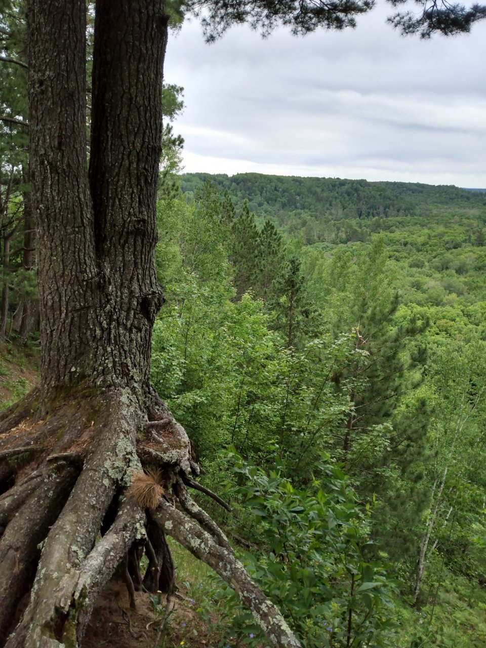 IMG_20220629_162713518_HDR.jpg
