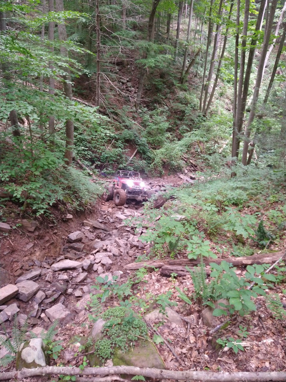 IMG_20220708_173008083.jpg