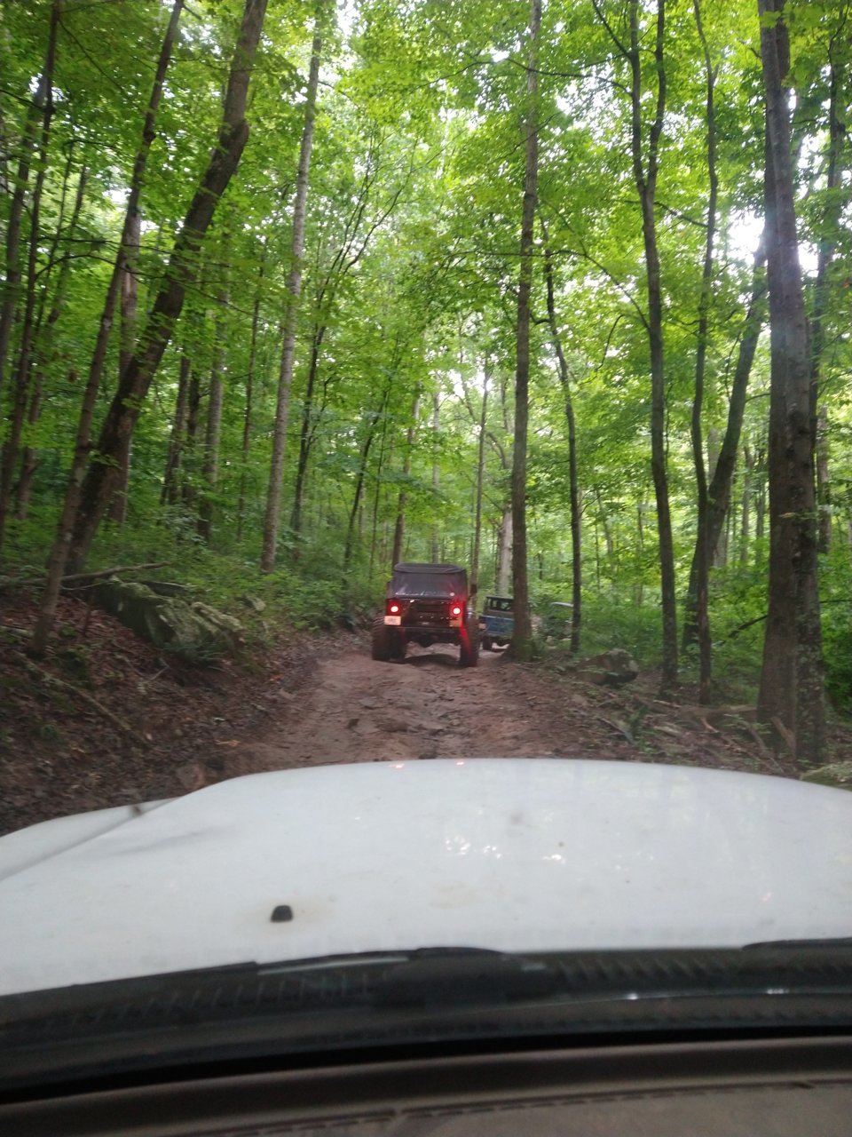 IMG_20220709_101447148.jpg
