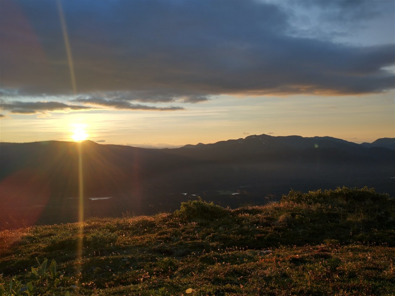 IMG_20220716_053351244_HDR.jpg