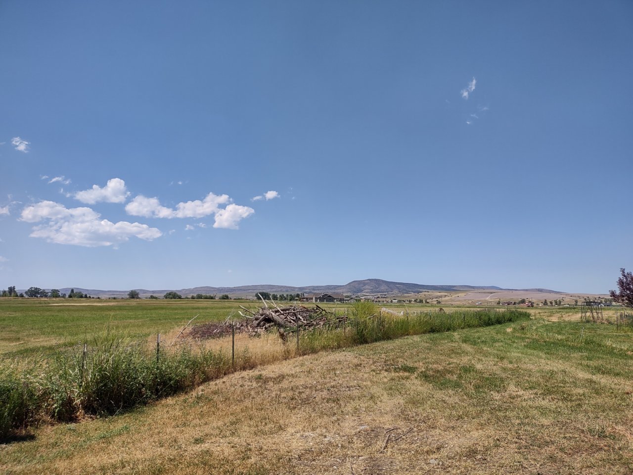 IMG_20220720_144709623_HDR.jpg