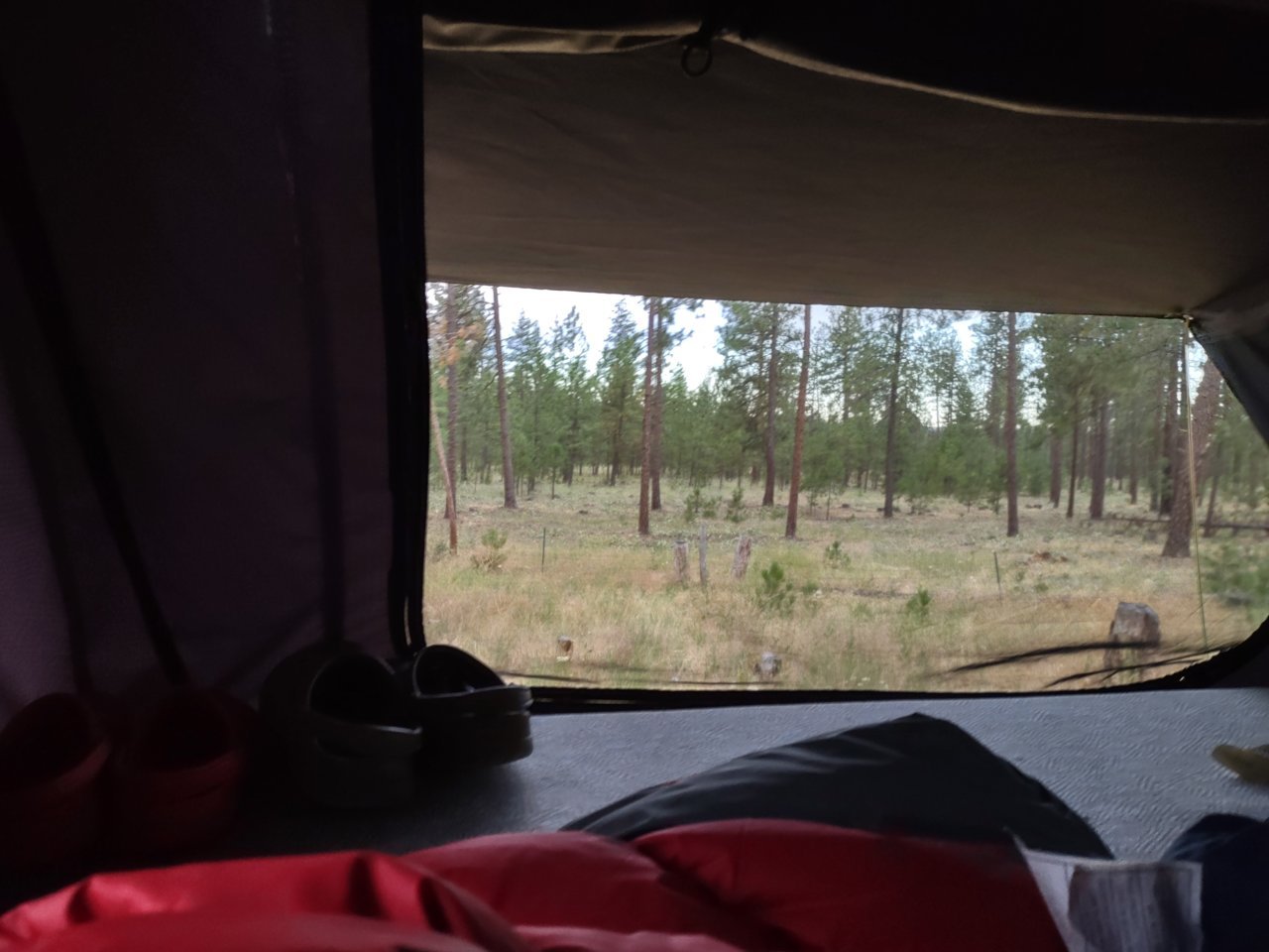 IMG_20220722_061405933_HDR.jpg