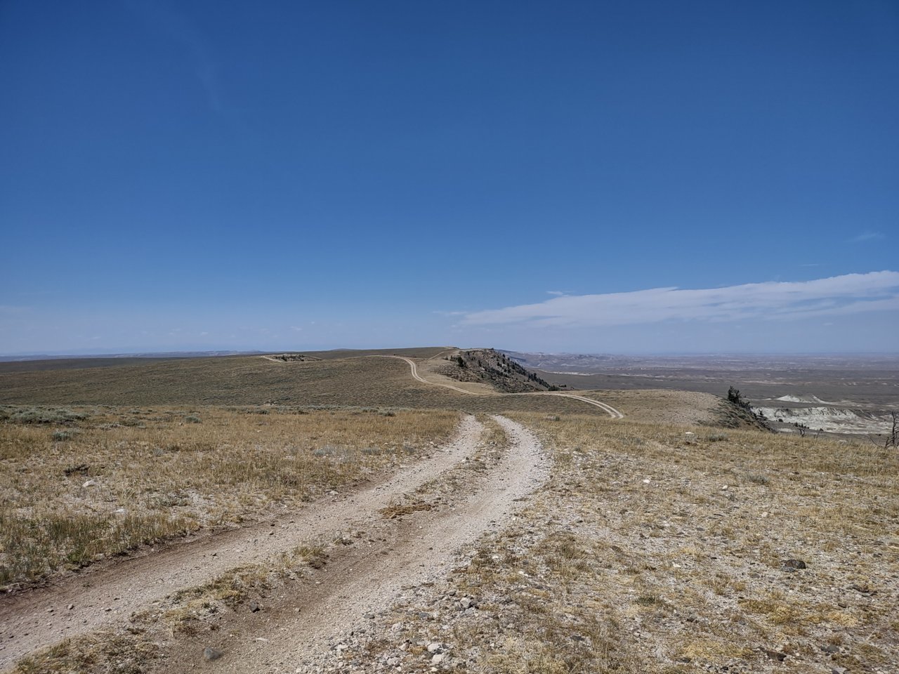IMG_20220804_121656814_HDR.jpg