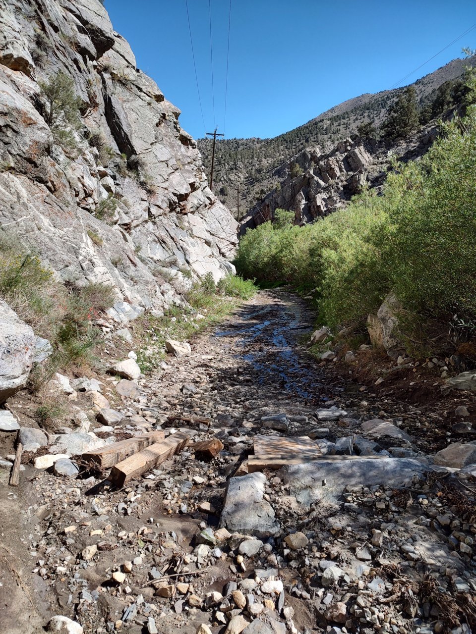 IMG_20220806_155706330_HDR.jpg