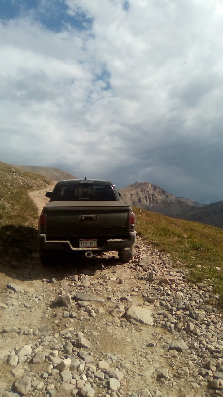 IMG_20220814_164554.jpg