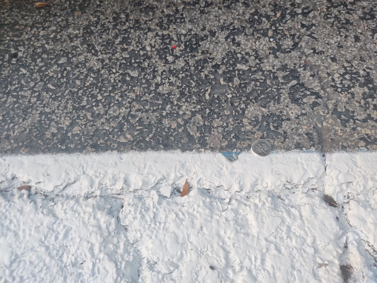 IMG_20220918_075847.jpg
