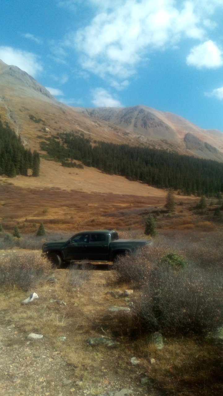 IMG_20220928_141504.jpg