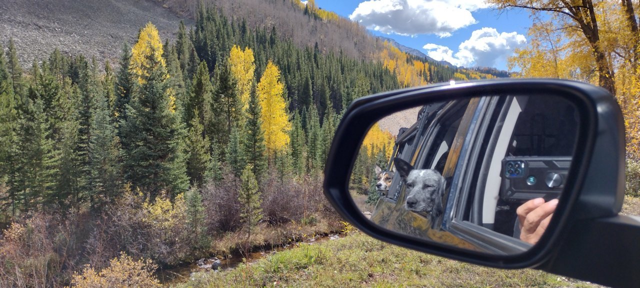 IMG_20221008_122259978_HDR.jpg