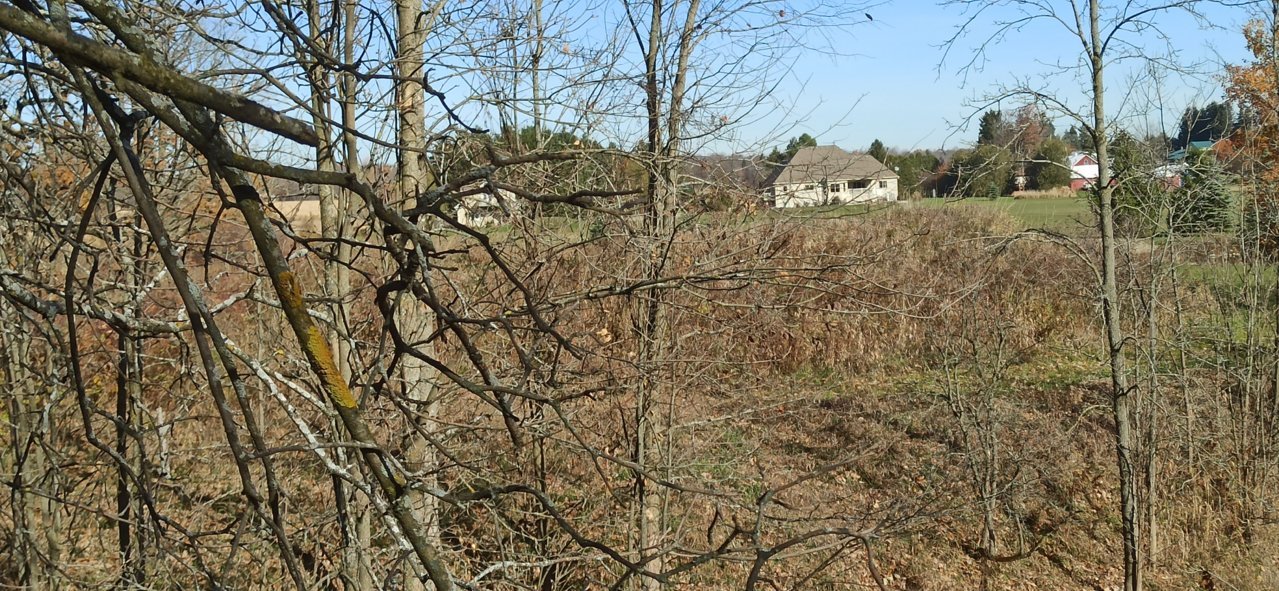 IMG_20221029_112559.jpg
