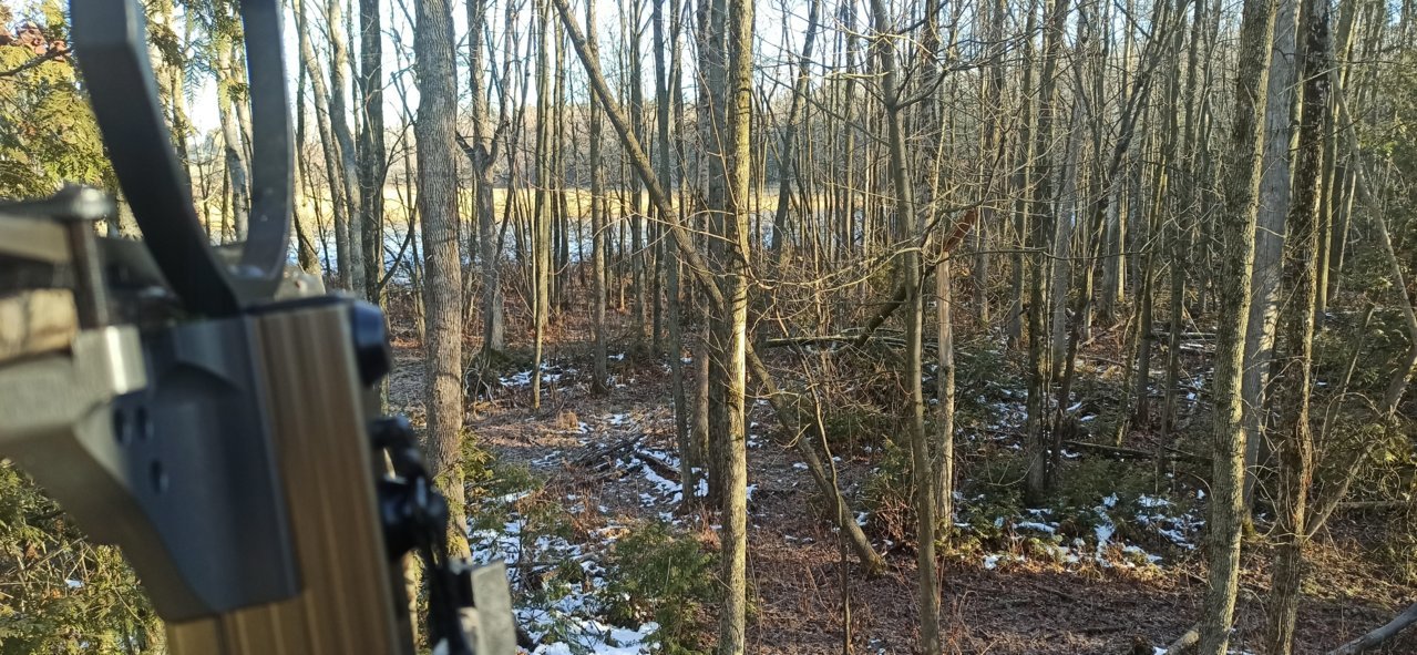 IMG_20221126_092516.jpg