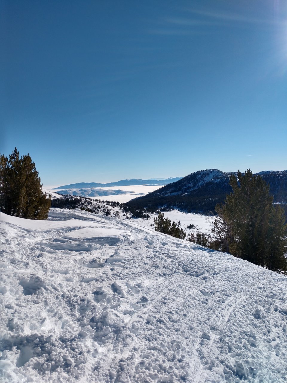 IMG_20221218_095702757_HDR.jpg