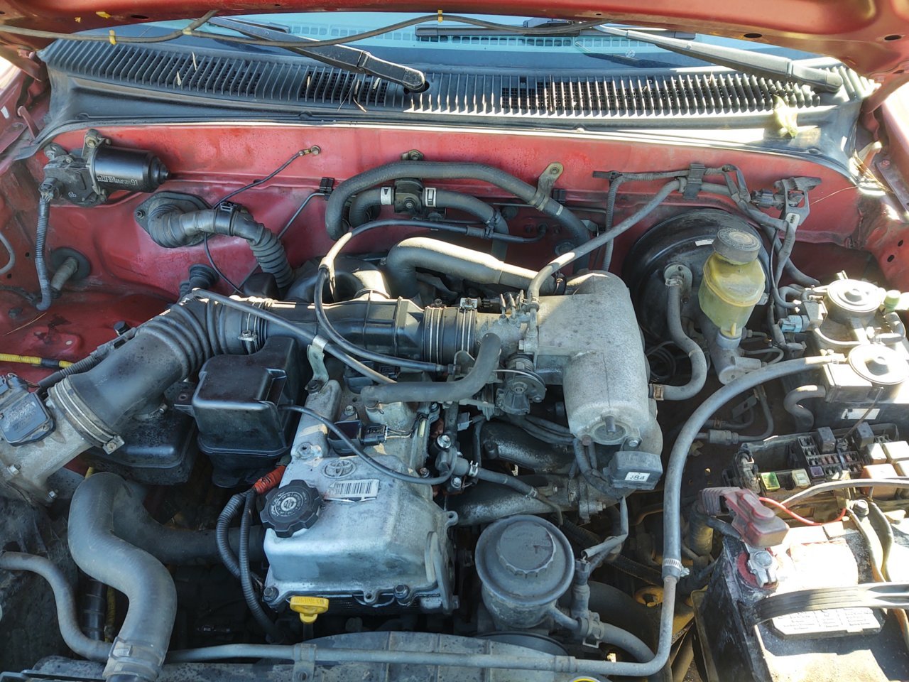 IMG_20230114_141612807_HDR.jpg
