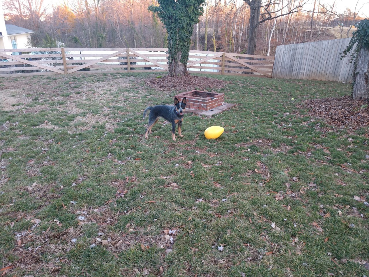 IMG_20230126_172436698.jpg