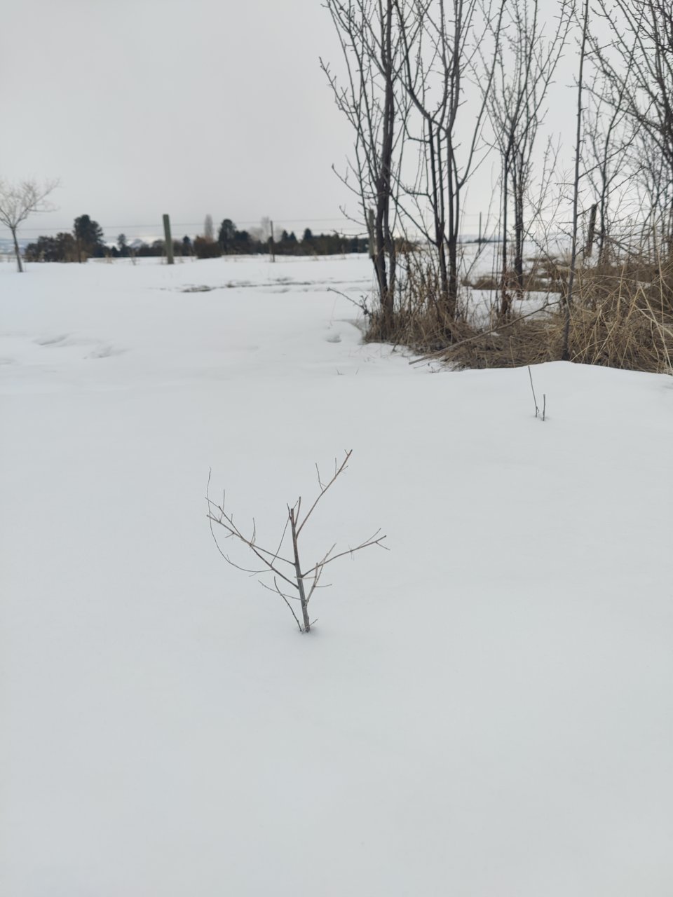 IMG_20230302_163402.jpg