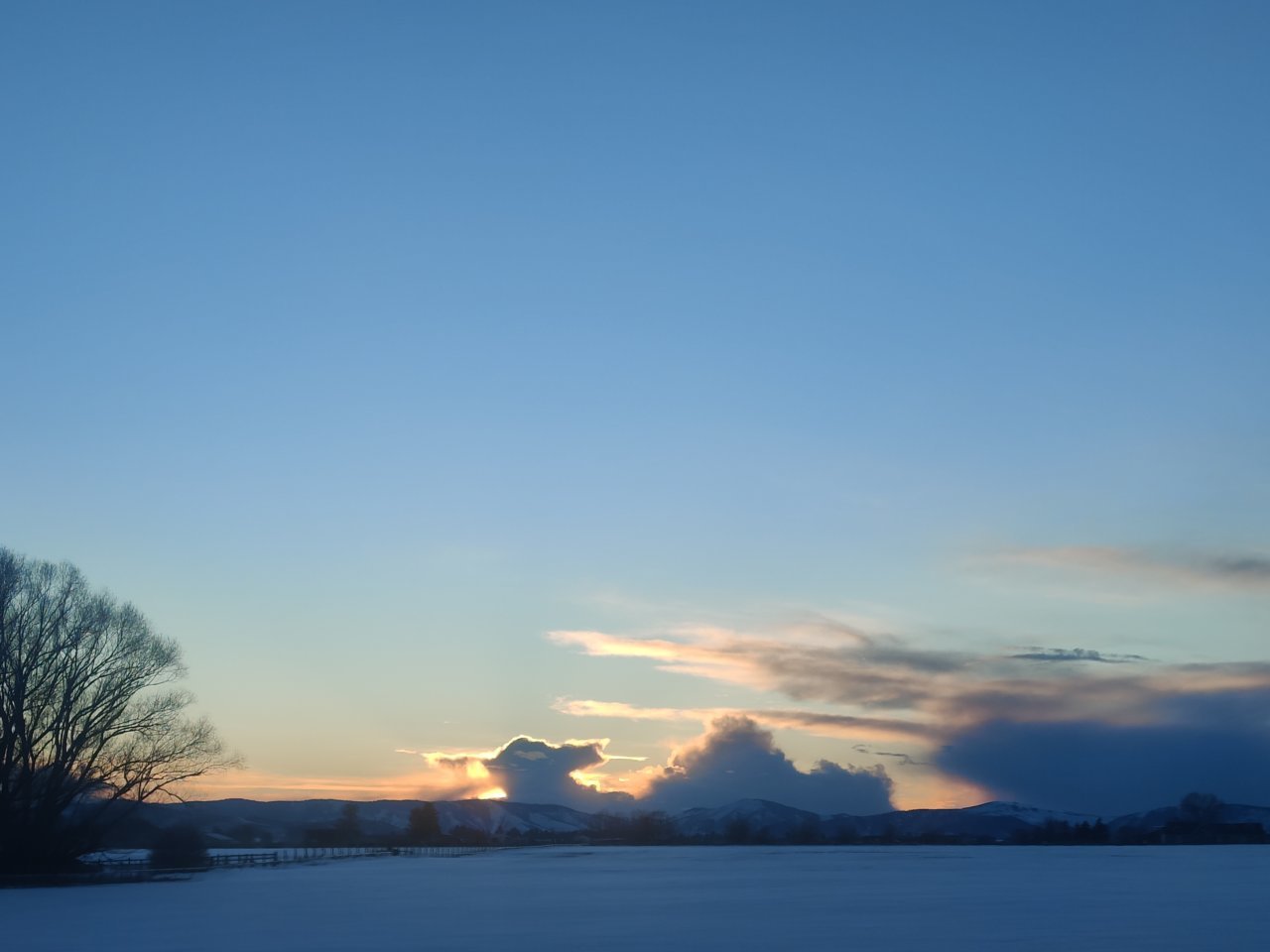 IMG_20230307_182259.jpg