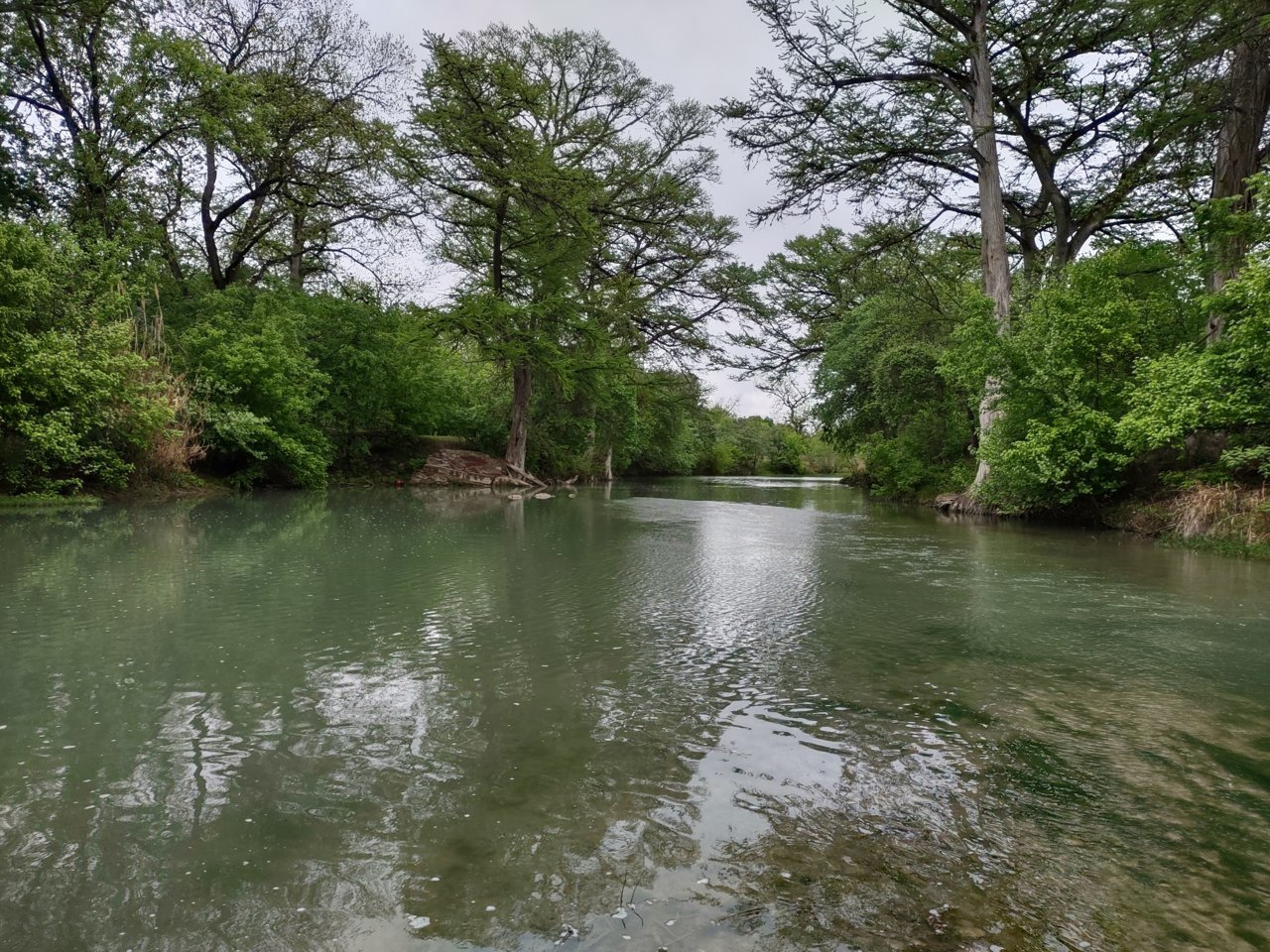 IMG_20230407_155044959_HDR.jpg
