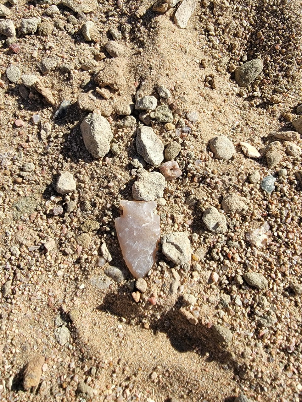 IMG_20230412_224105.jpg
