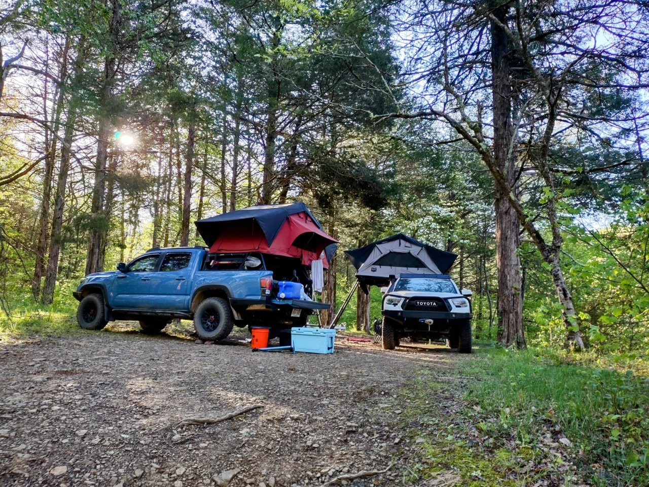 IMG_20230501_080224905_HDR~2.jpg