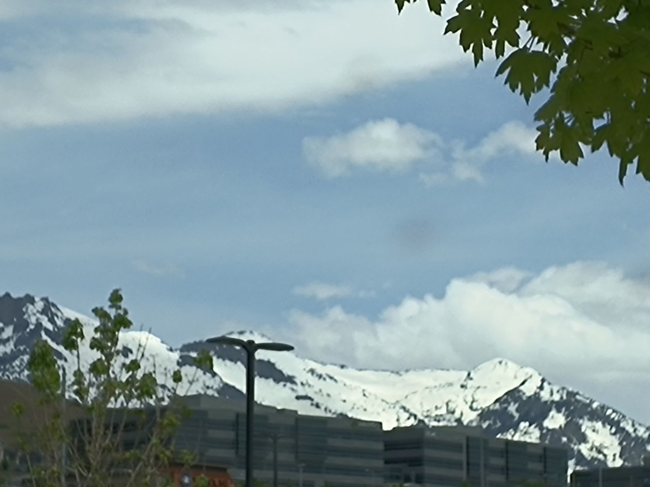 IMG_20230525_131144741.jpg