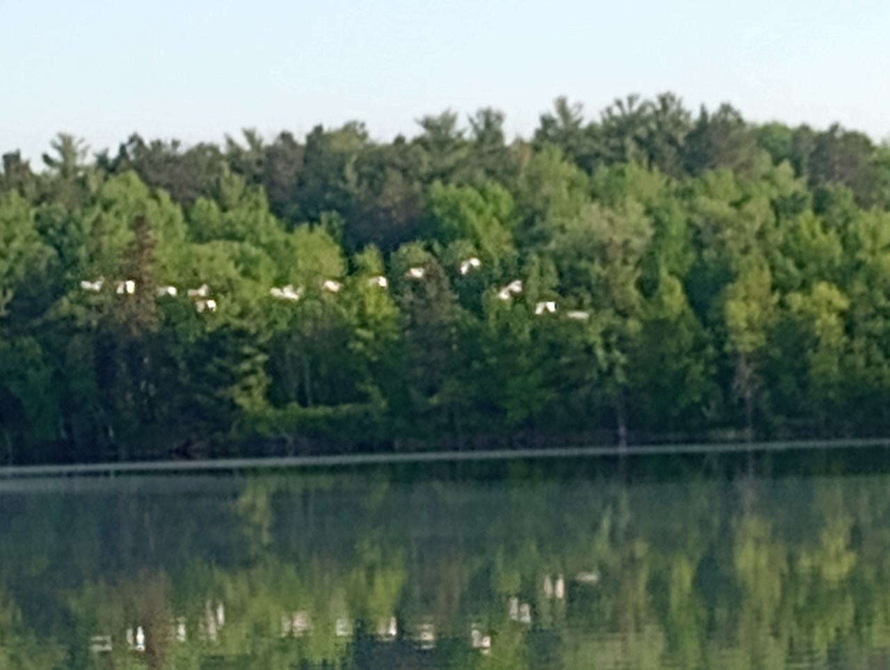 IMG_20230531_074745226.jpg