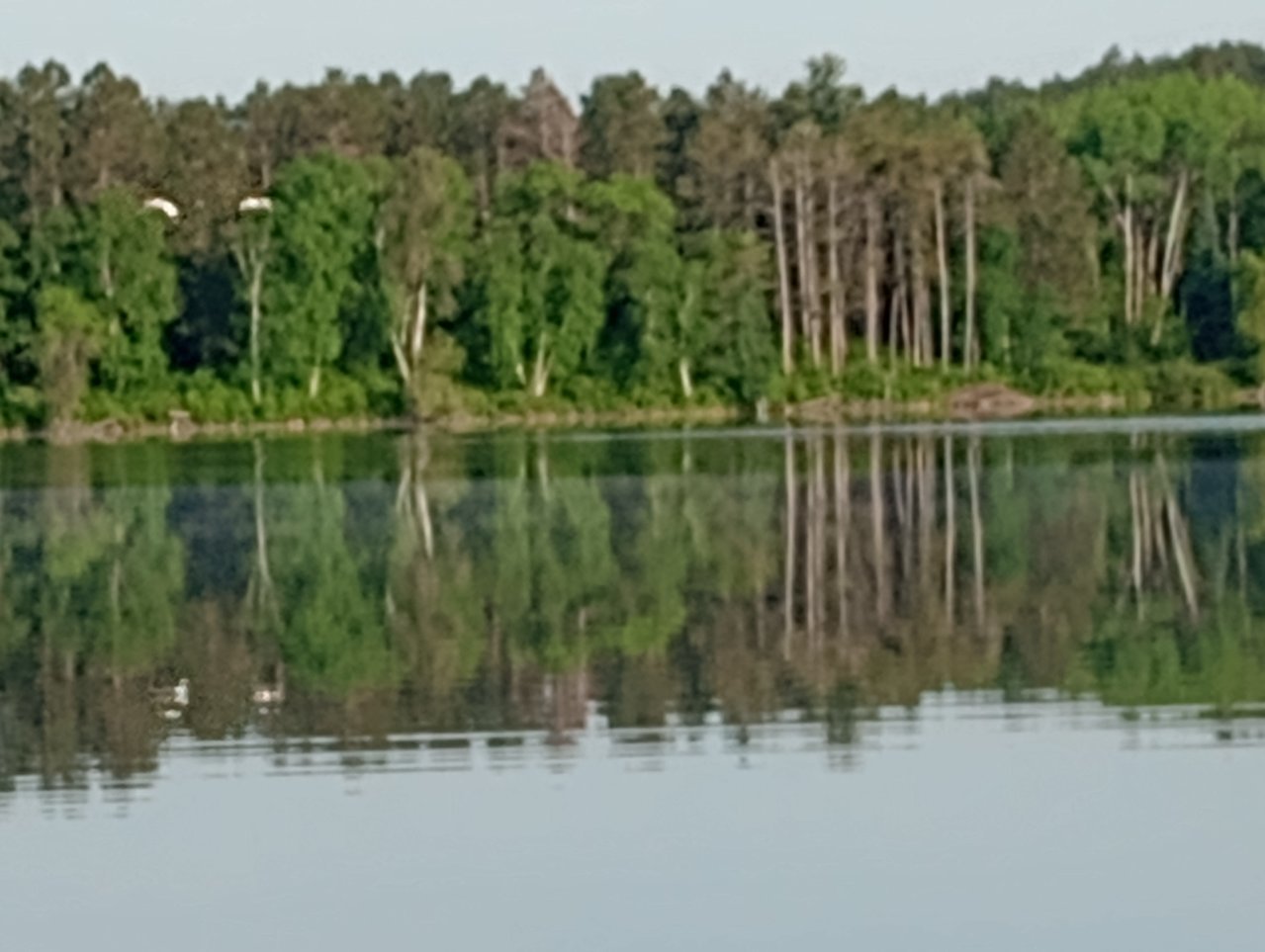 IMG_20230531_074759817.jpg
