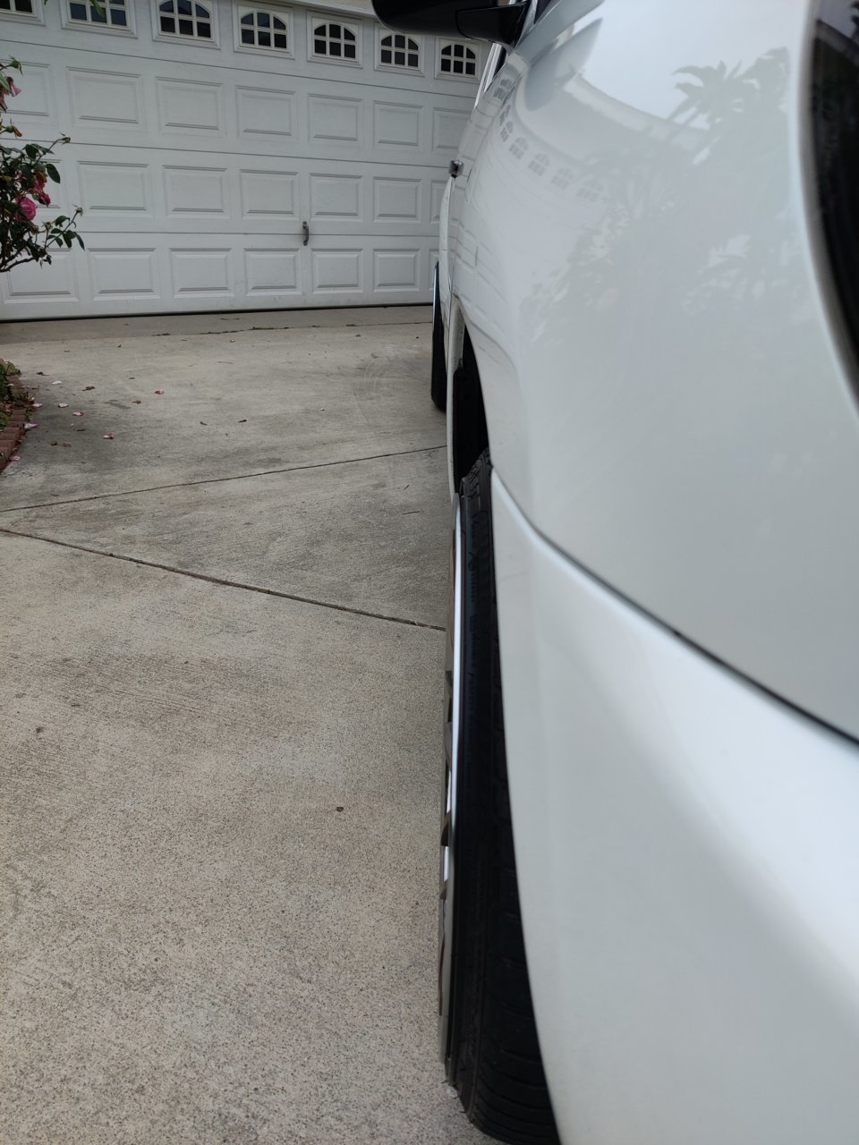 IMG_20230610_165917.jpg