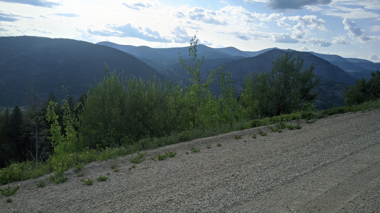 IMG_20230704_173926.jpg