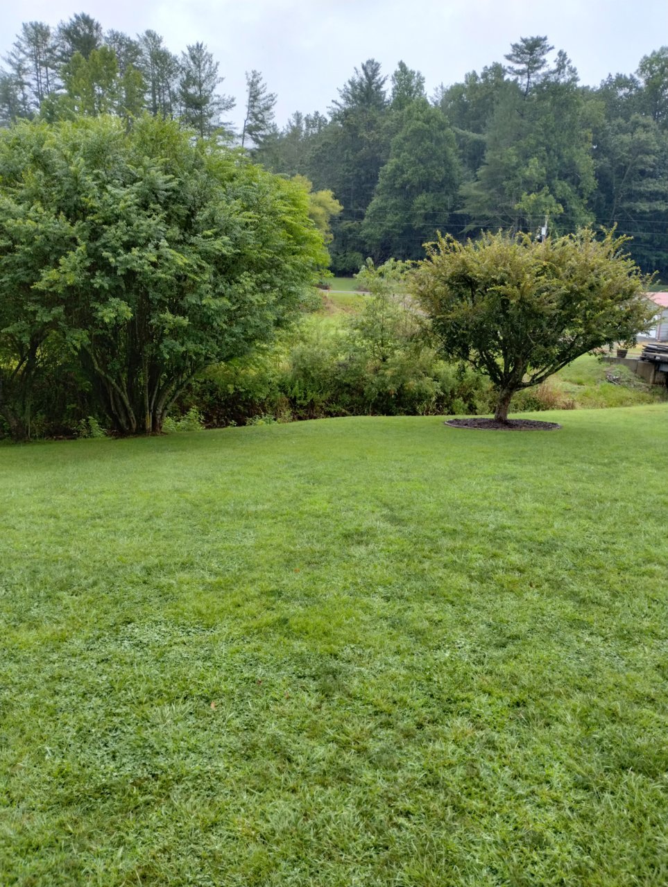 IMG_20230803_110504353_HDR.jpg