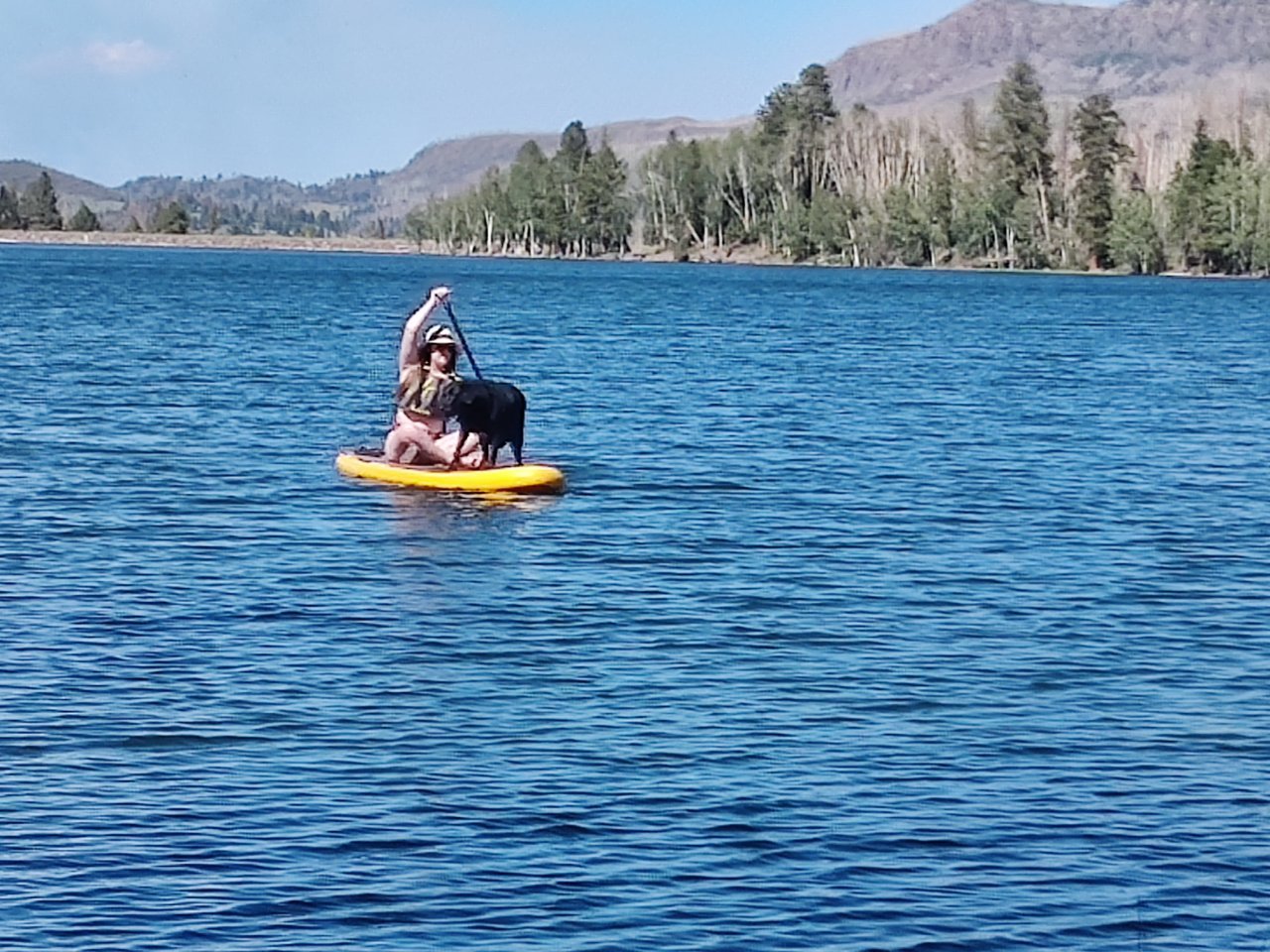 IMG_20230806_162843.jpg