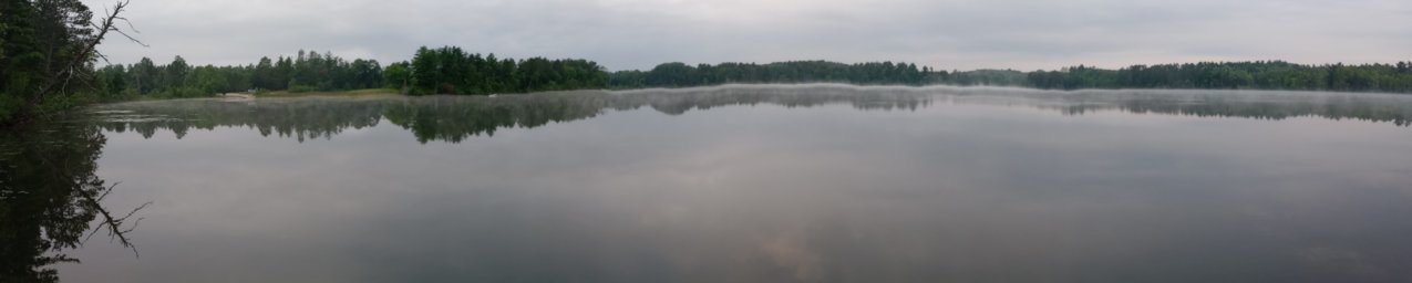 IMG_20230809_063827241.jpg