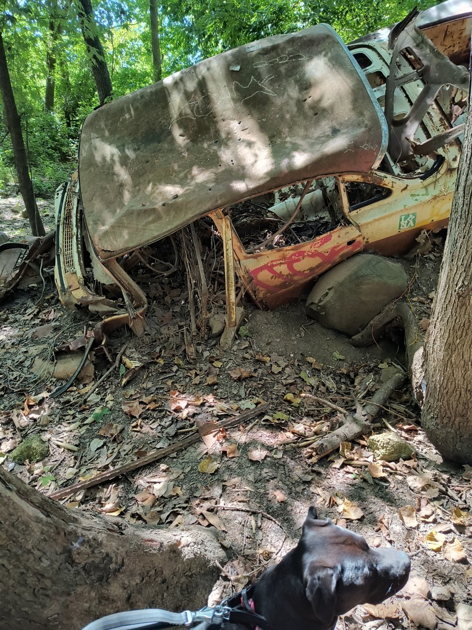 IMG_20230829_131206932_HDR.jpg